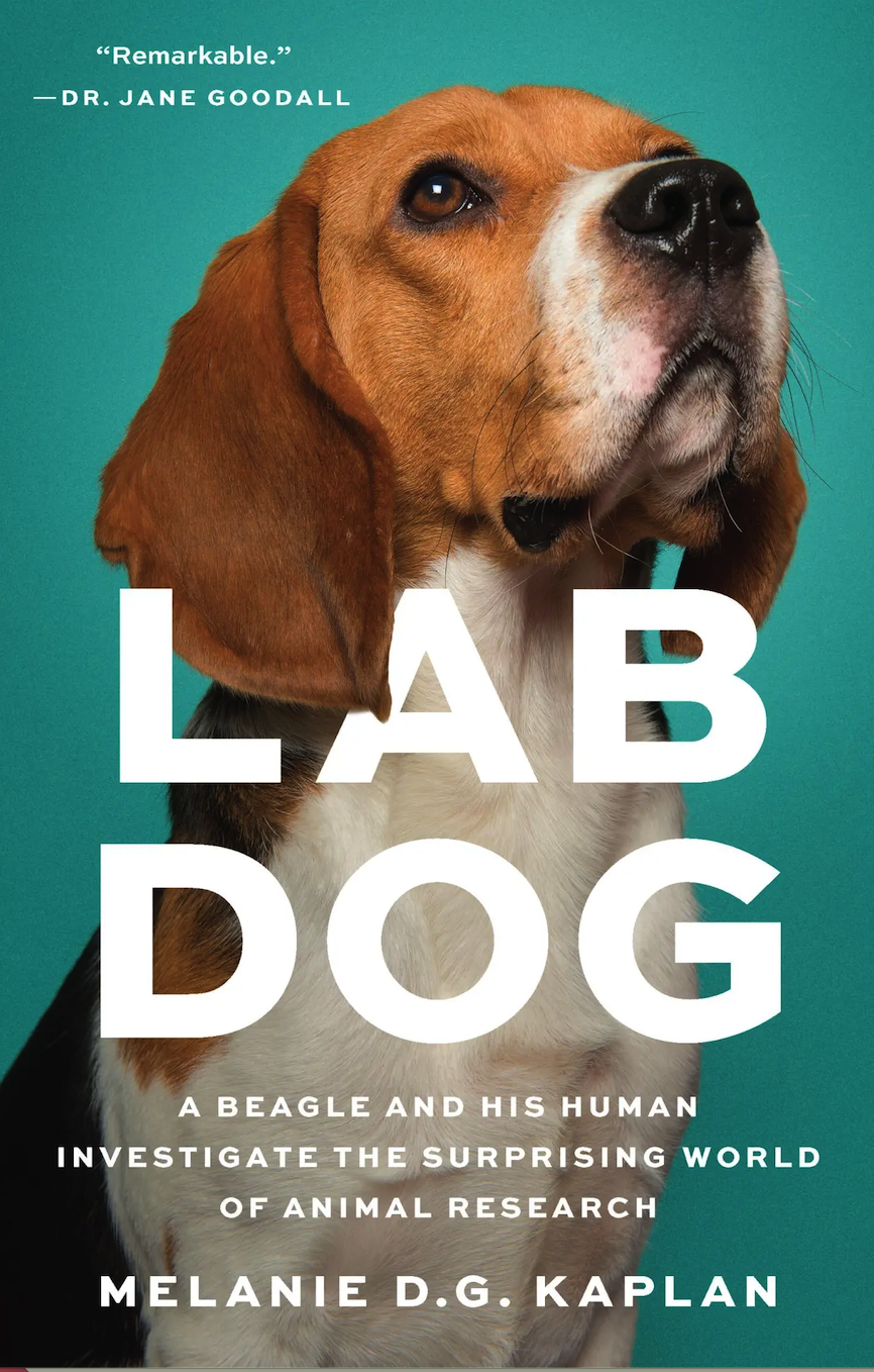 Melanie D.G. Kaplan in conversation with 11Alive's Kaitlyn Ross – Lab Dog 